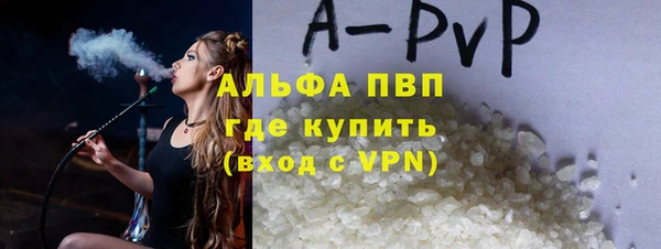 прущие грибы Армянск