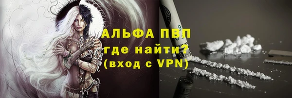 прущие грибы Армянск