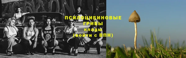 2c-b Аркадак