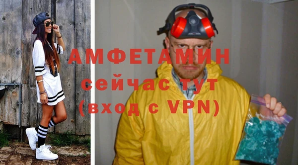прущие грибы Армянск