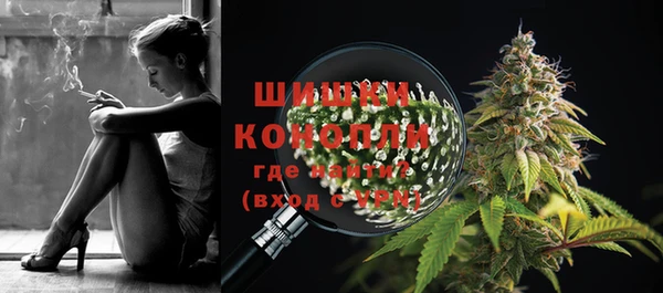 кокс Арсеньев